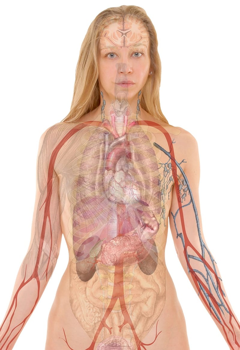 Breathing Exercise